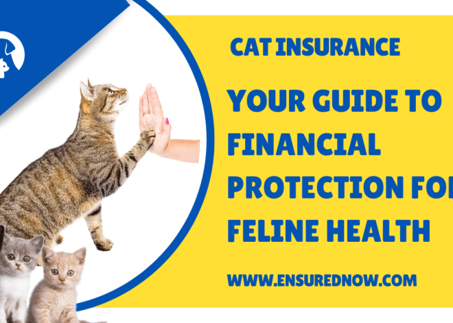 Cat Insurance: Your Guide to Financial Protection for Feline Health