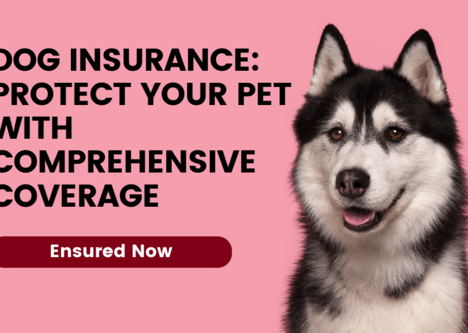 Dog Insurance: Protect Your Pet with Comprehensive Coverage