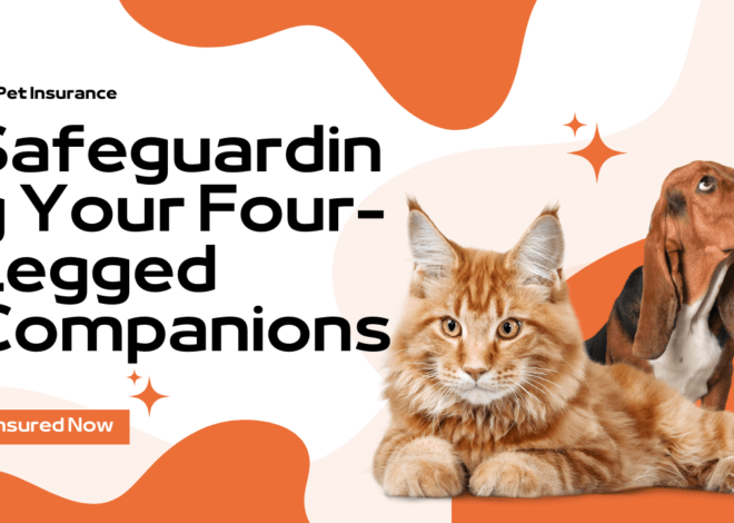The Ultimate Guide to Pet Insurance: Safeguarding Your Four-Legged Companions